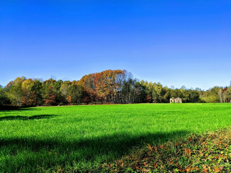 a bright, sunny day in a large field with lots of trees on the other side