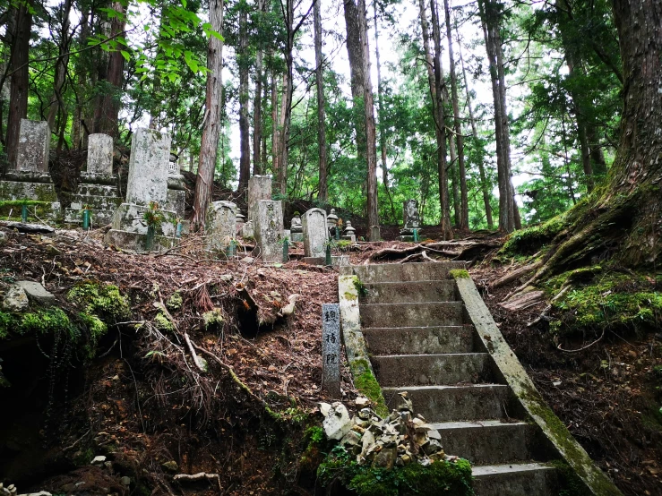 old graves and graves are near the forest