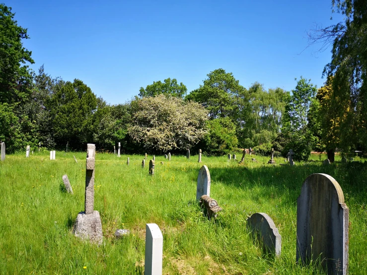 a grassy cemetery with several headstones and trees in the background