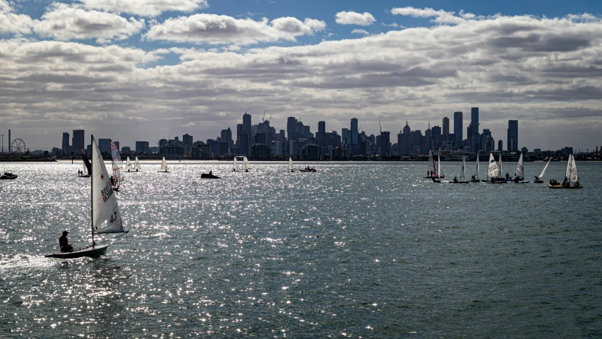 many sailboats in the water are with a large city in the background