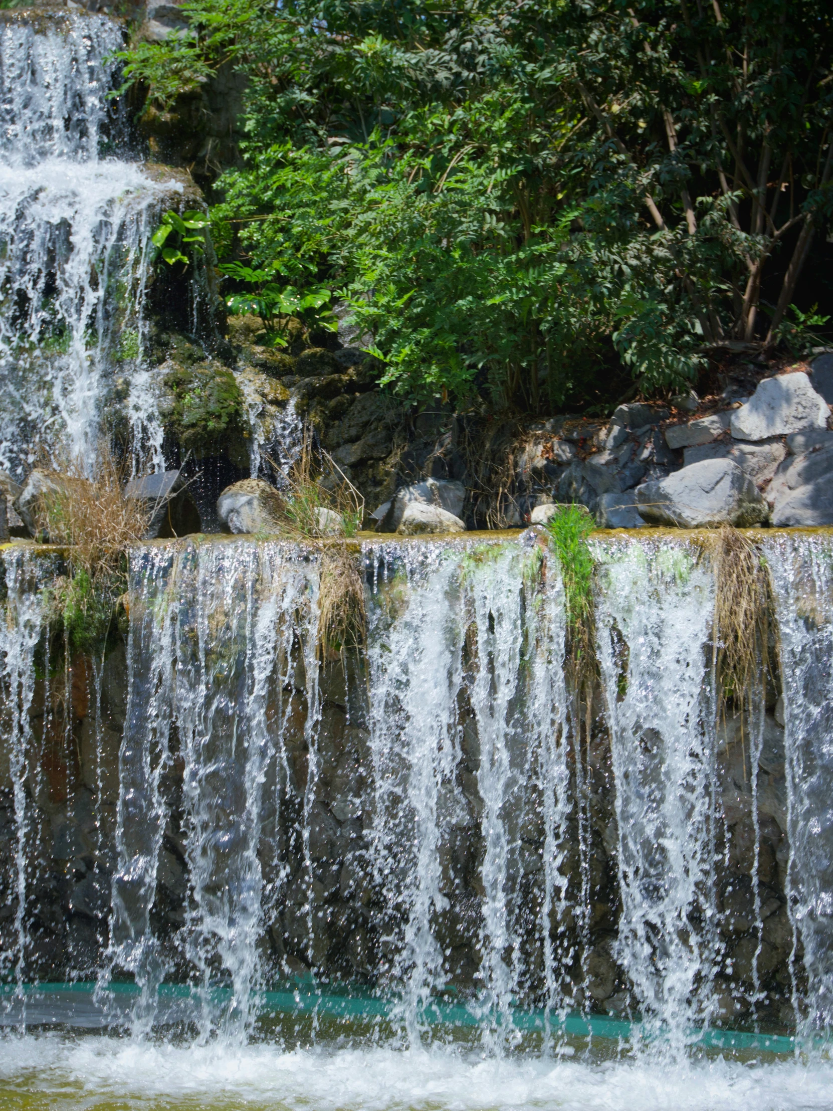 waterfall in water with trees and plants around