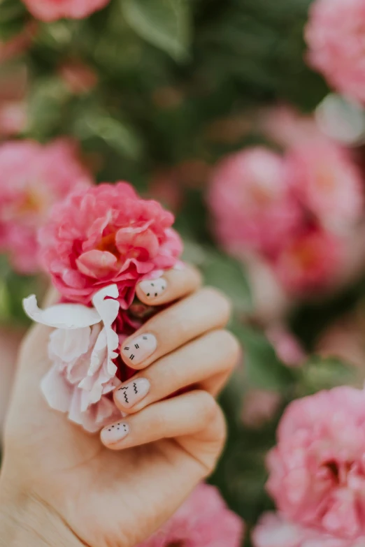 a person holding flowers with pink petals