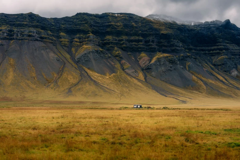 an image of two animals grazing in a field