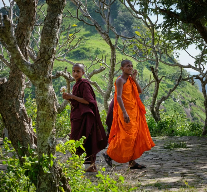 two monks walk past some trees in the mountains