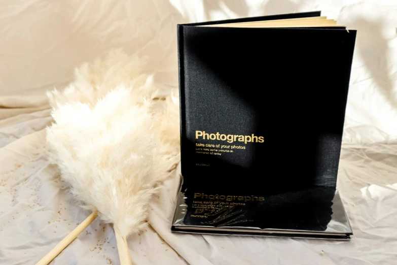 an opened pograph book beside some ivory feathers