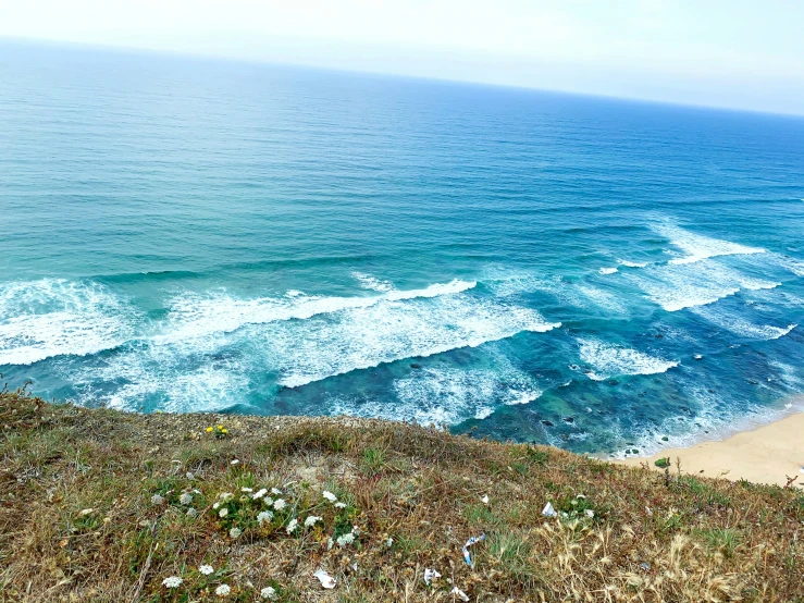 two surfers ride the waves onto the beach