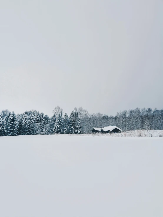 snow covers the grass and a small cabin in a wooded area