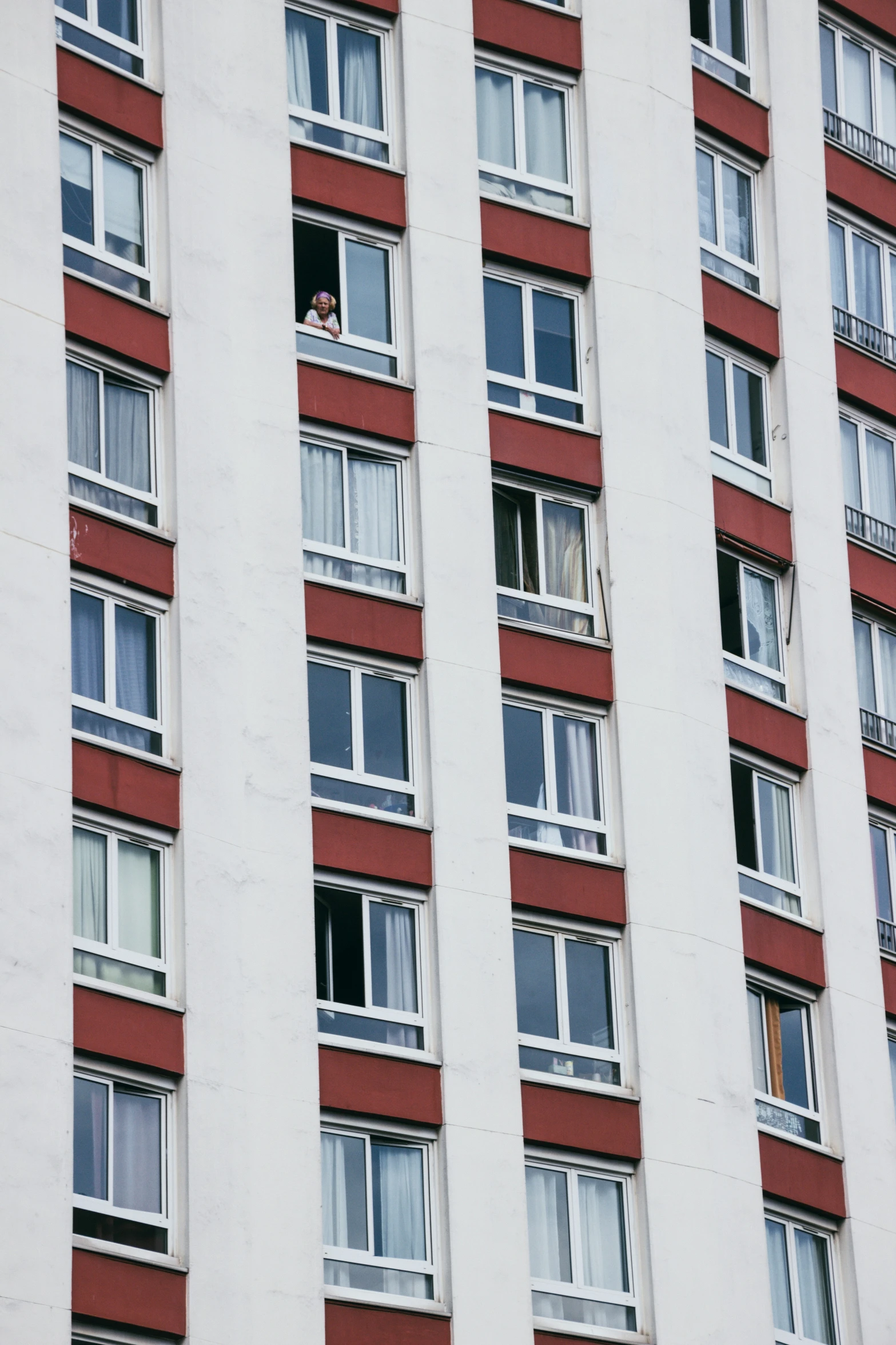 an architectural s of a building with red bricks, windows and lots of white framed windows