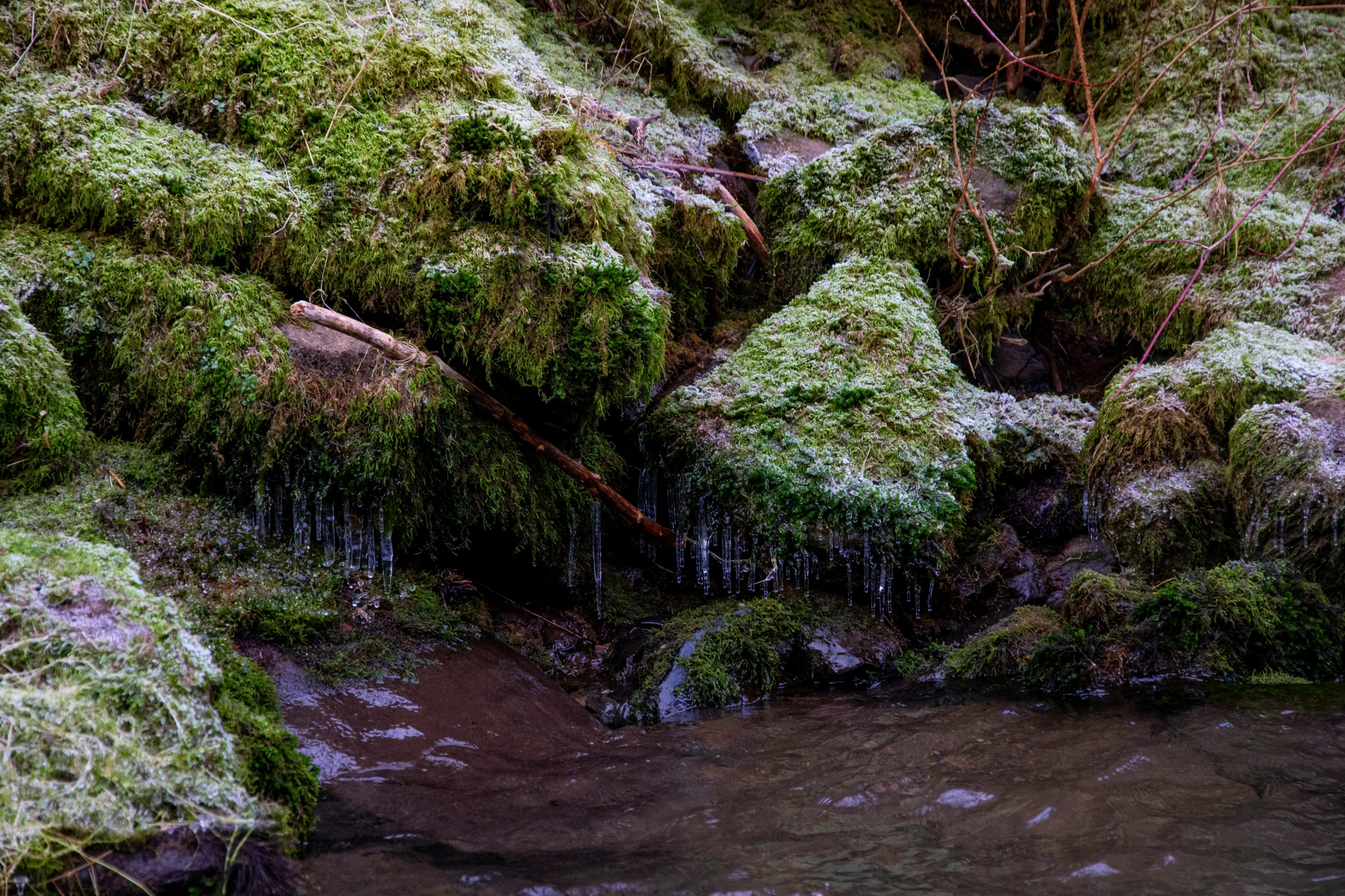 an area with rocks, moss and water