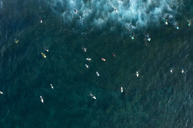 a view from above of many surfboarders in the water