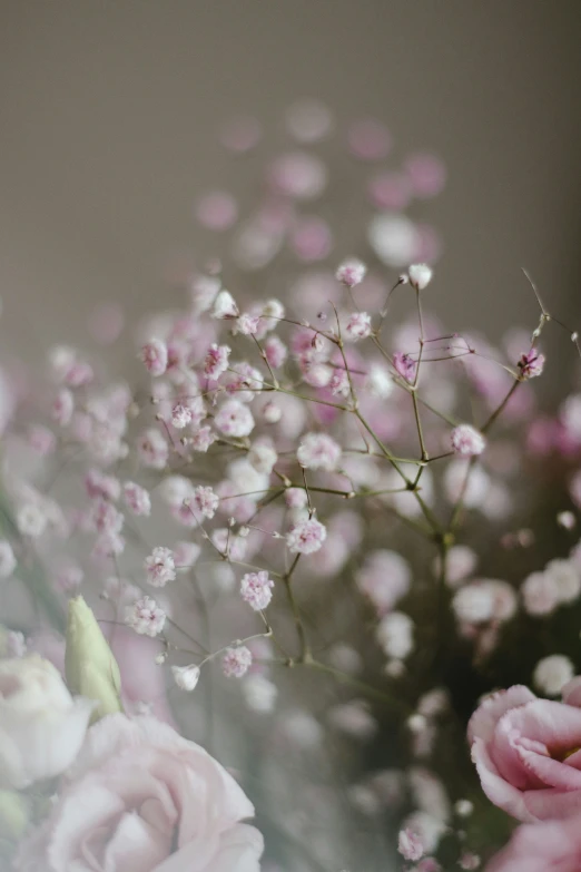 a vase filled with white and pink flowers