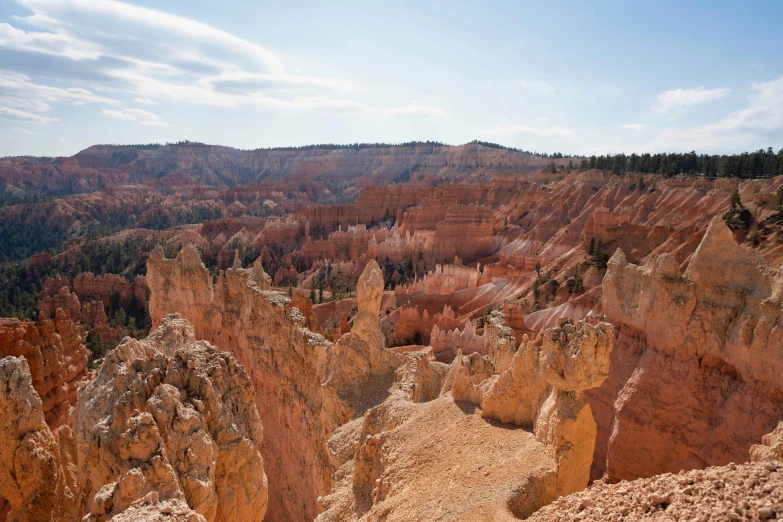 a bunch of dirt hills with many trees