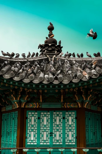 birds rest on top of a roof in a oriental building