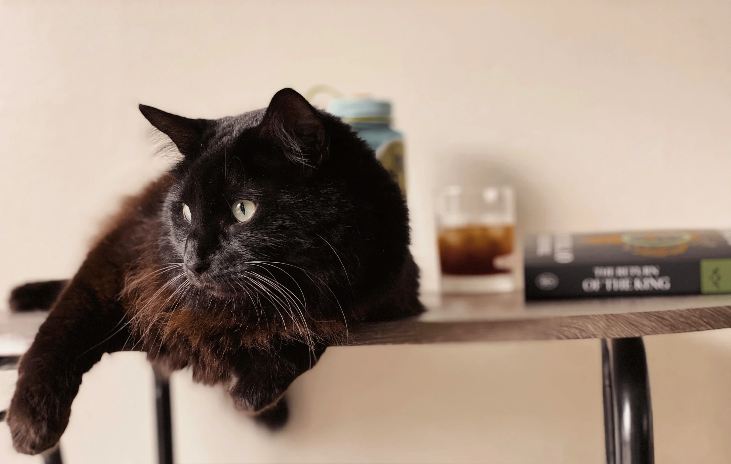 a black cat is sitting on a small wooden desk