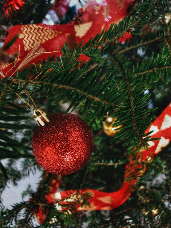 an ornament on the needles of a christmas tree