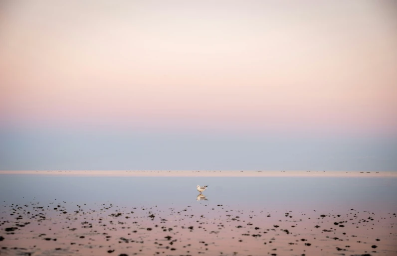 a large expanse with lots of pebbles on the water