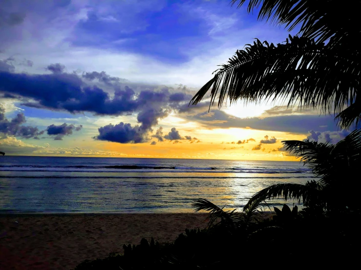 sun setting over the ocean behind some palm trees