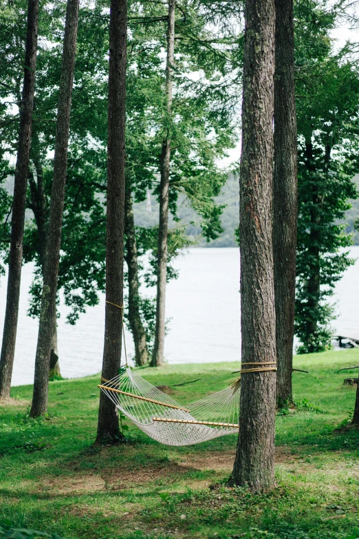 a hammock hanging between trees with a lake behind it