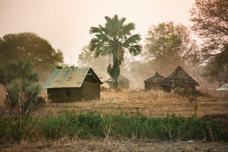 an old barn stands in a tree filled field