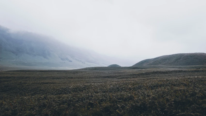 an open field with no one in it and some mountains in the background