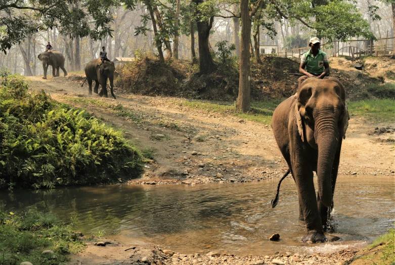 a man riding an elephant across a muddy road