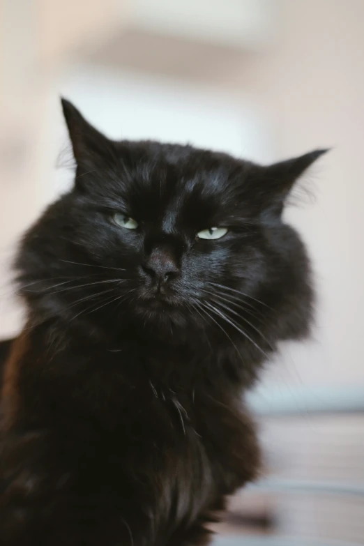 a black cat with green eyes sitting on a table