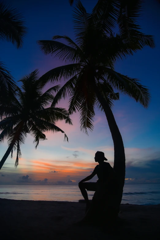 a person sitting on top of a palm tree