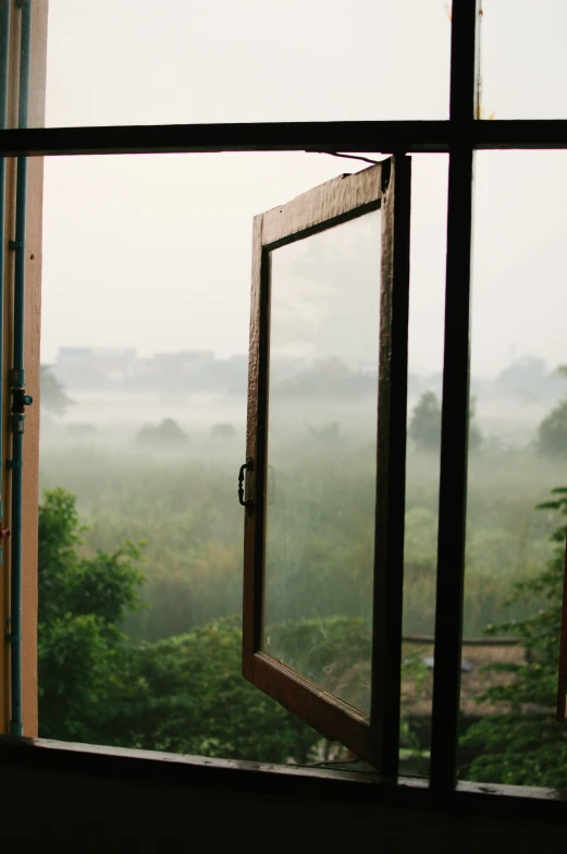 a window that shows in to trees and fog