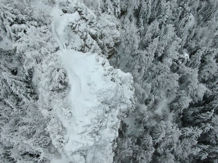 snow covered trees from above with a person in the distance