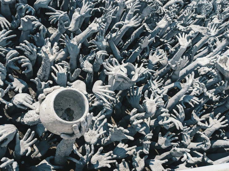 a group of plants with some very long hand prints