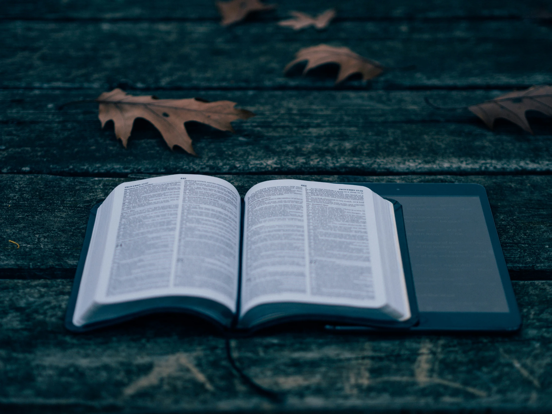 open book and pen on a picnic table surrounded by fall leaves