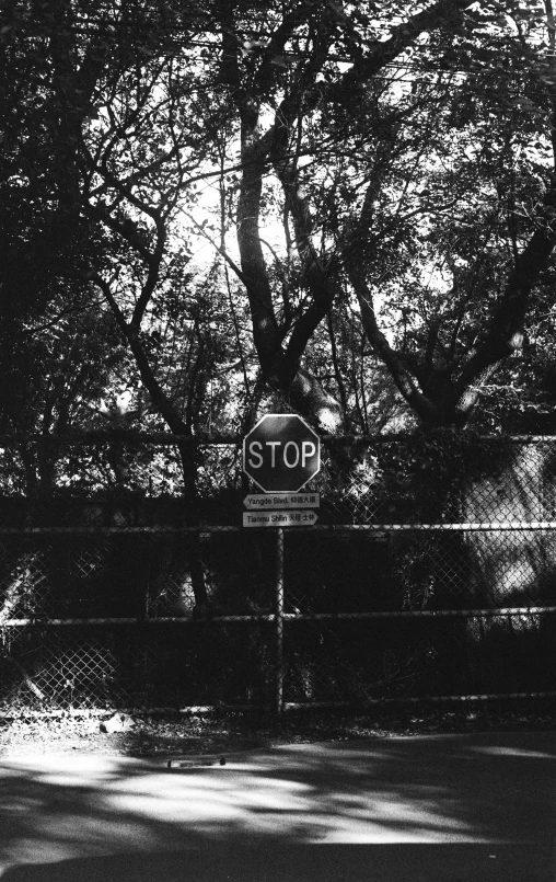 a stop sign on the side of a road with trees in the background