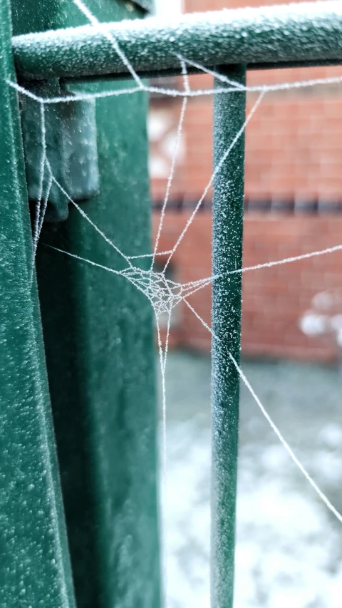 a spider web attached to a green metal gate