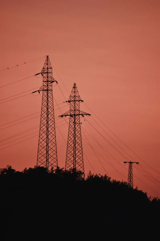 birds are flying near power lines with sunset in the background