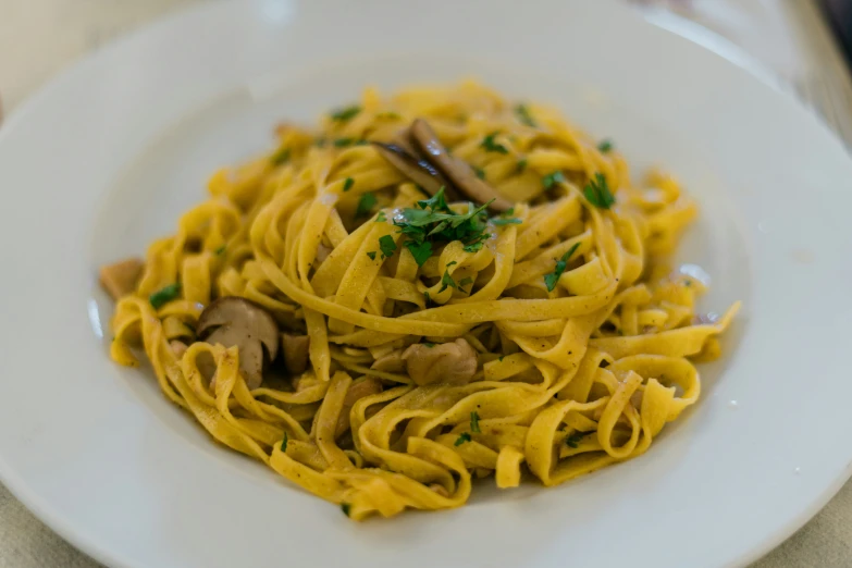 a plate of noodles with mushroom and broth