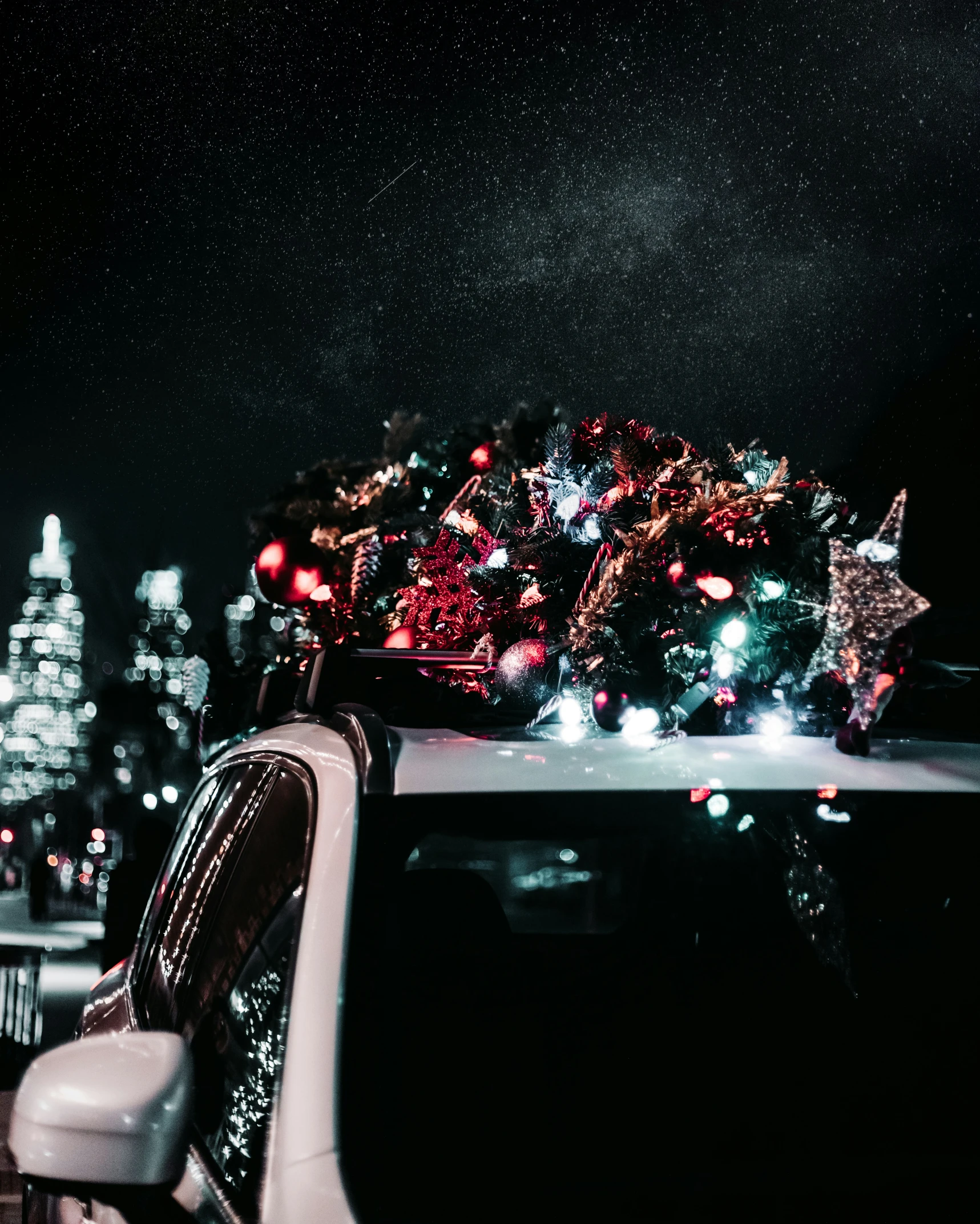 a car is parked with a tree on top