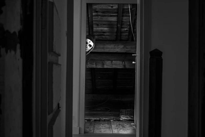 a doorway into the house that has skeletons on it