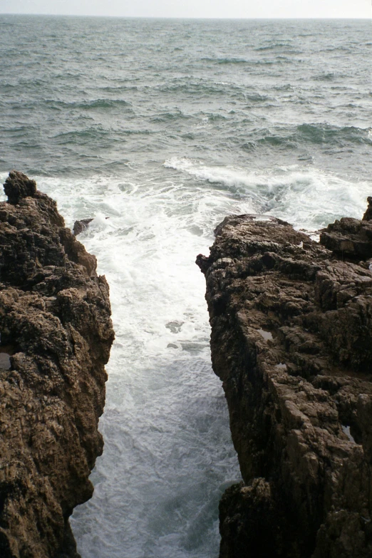 a lone bird on the rocks at sea shore