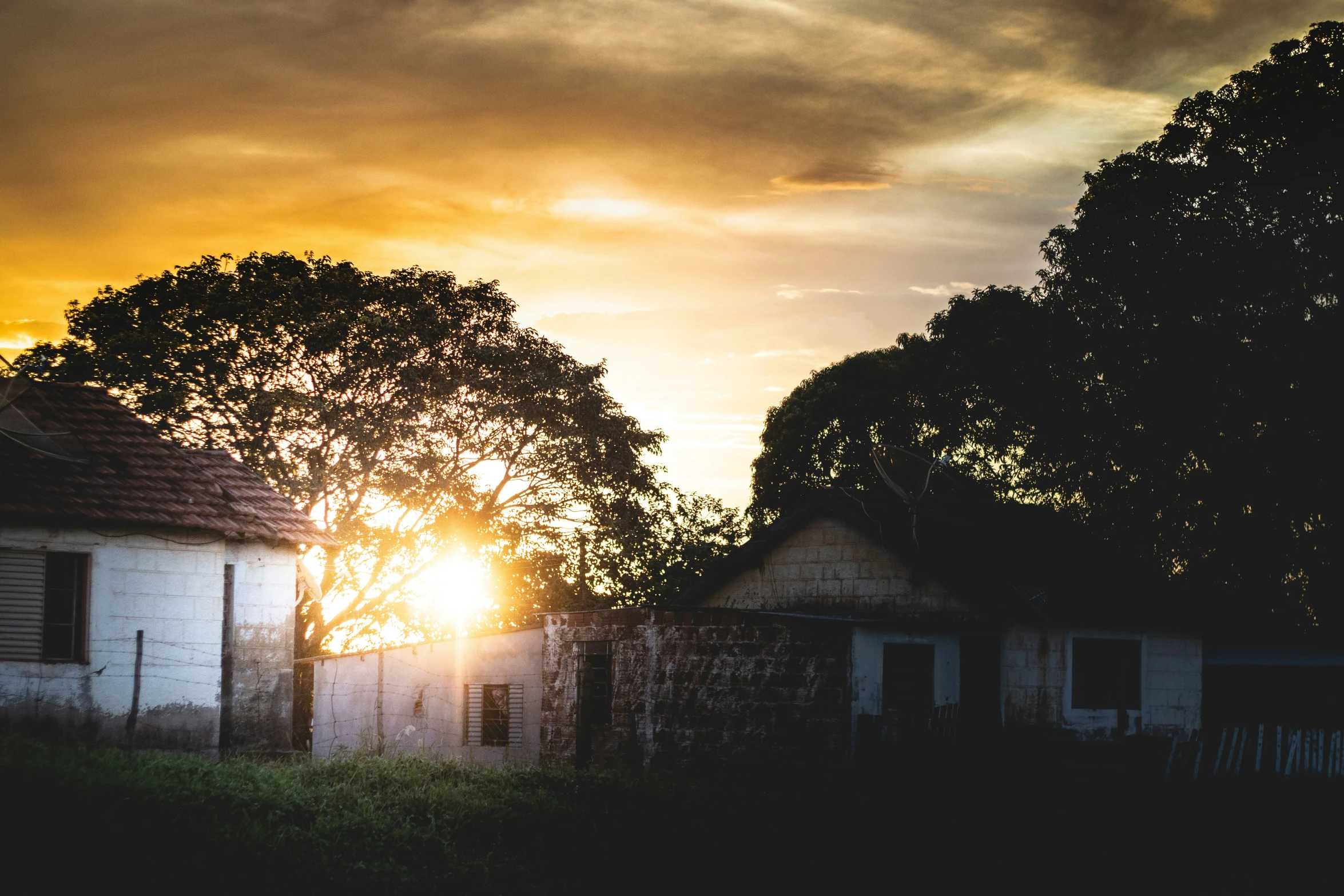 the sun rises behind the trees and houses