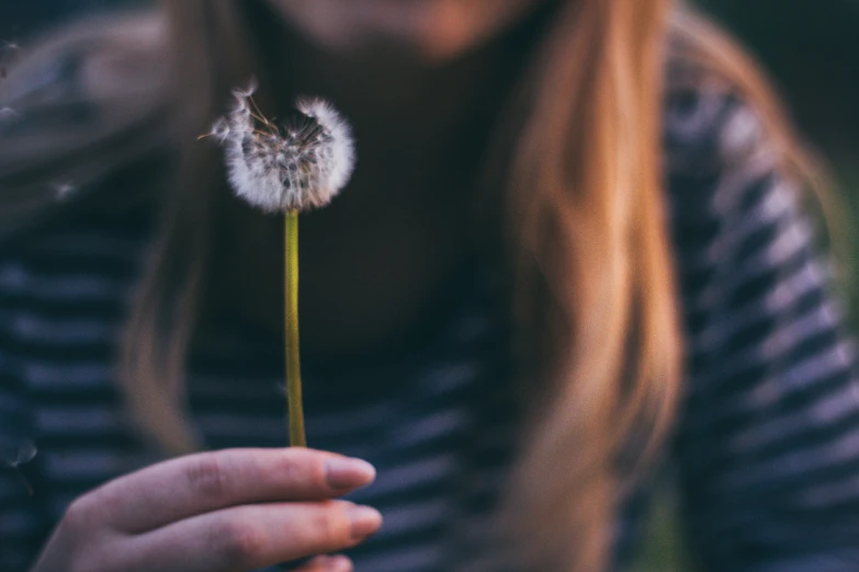 the person has on a striped shirt and holds a dandelion