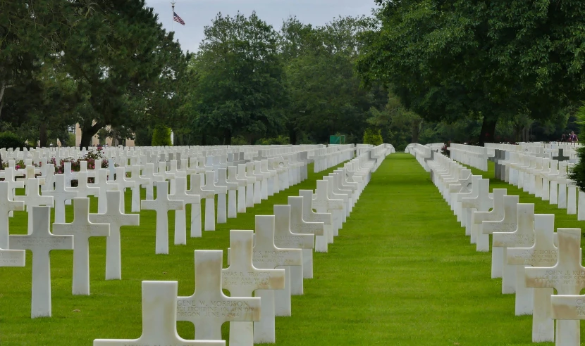 a large cemetery with rows of headstones on the sides