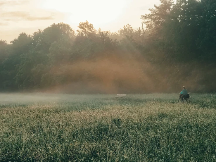 there is a man on horses in the field