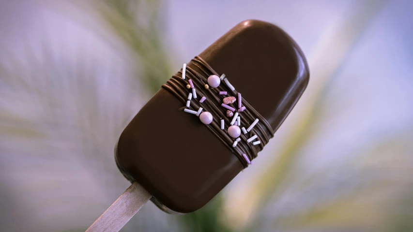 an item on a stick with chocolate on top and decorations