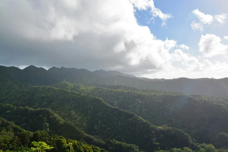 mountains with lush vegetation and forest on them