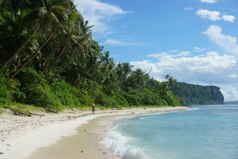 an empty beach in the middle of some bushes