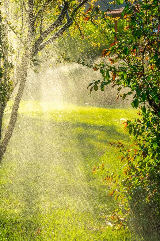 a sprinkler pours water onto the grass