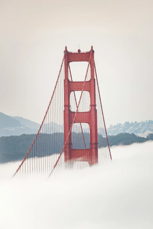 the red structure of a bridge stands above the fog