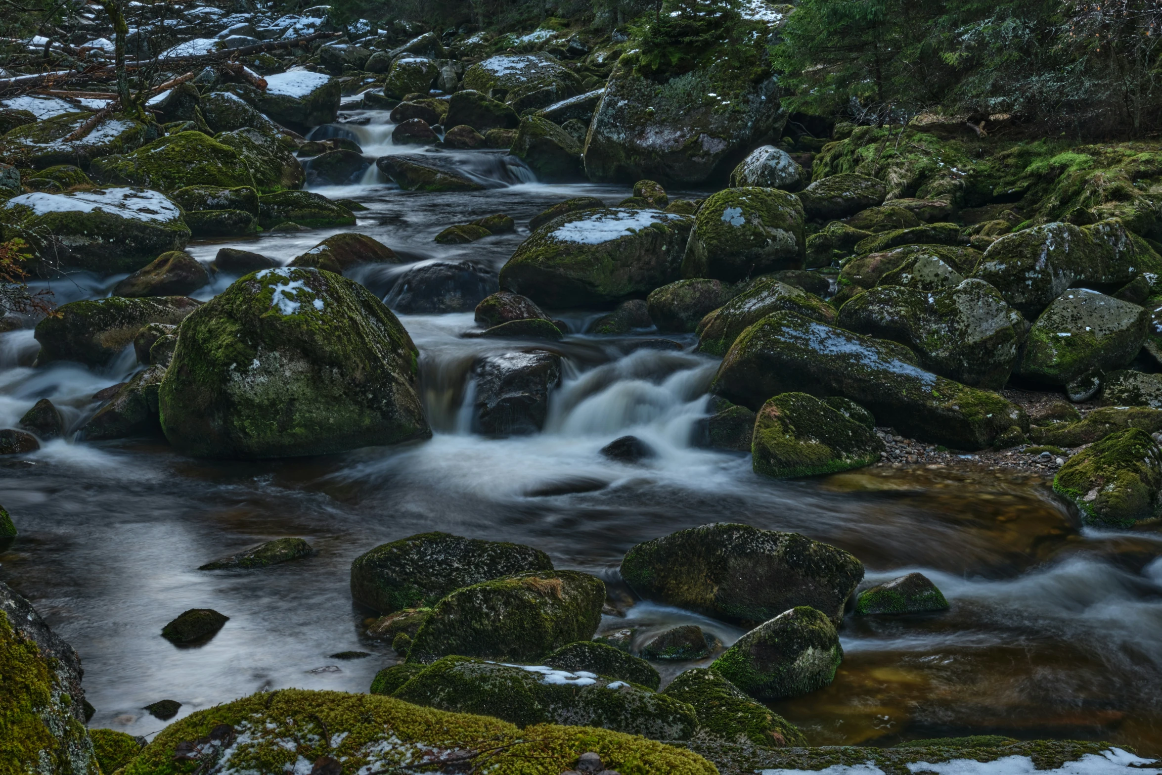 a stream flowing through a forest filled with rocks