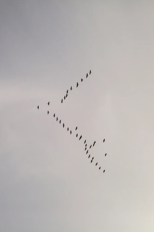 birds fly across a cloudy sky with the sun coming down