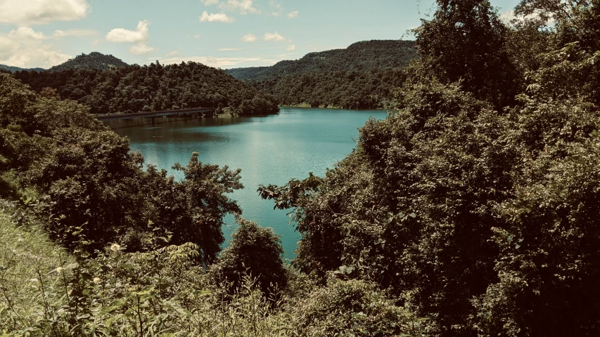 a lake surrounded by lush green trees on a clear day